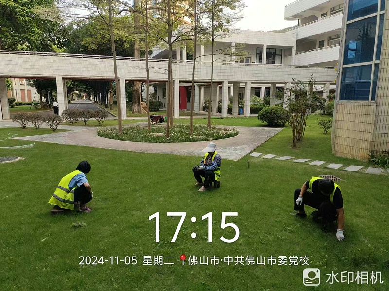 微信图片_20241106091628