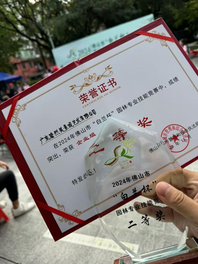 图片4