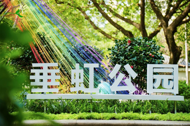 图片11