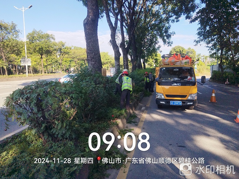 微信图片_20241204104613