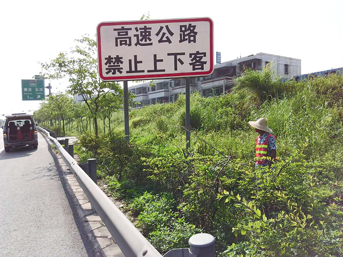 景观林带苗木迁移