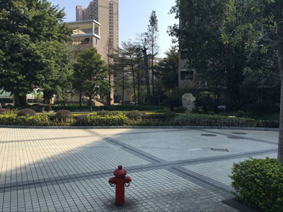 碧然美景观